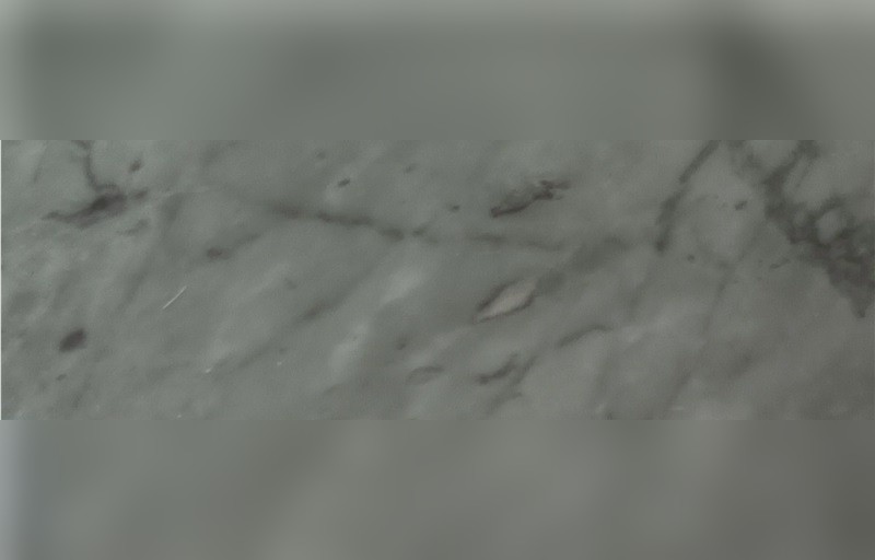 Blue Venato Marble
