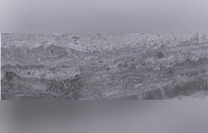 Blue Wood Vein Marble