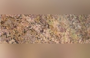 Bordeaux Montana Granite