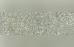 Borghamn Limestone