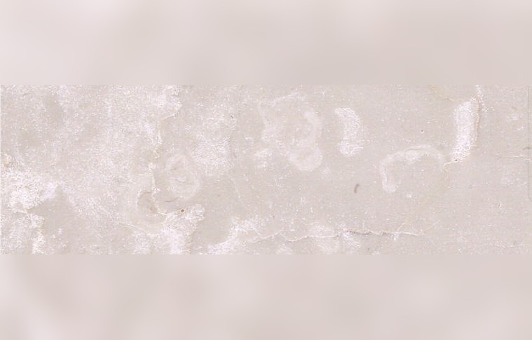 Botticino Fiorito Marble