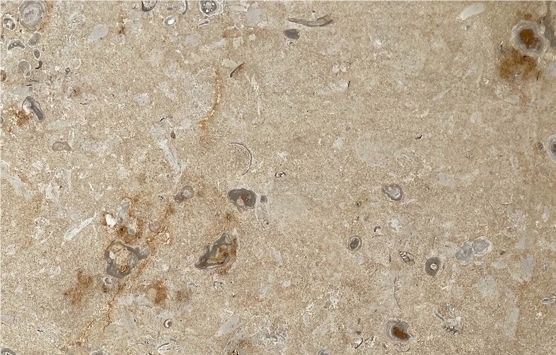 Bouix Limestone