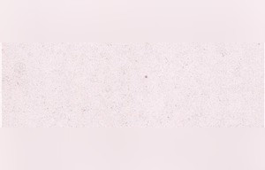 Branco Snow Limestone