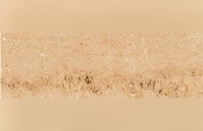 Brauvilliers Limestone