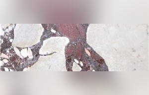 Breccia Capraia Marble