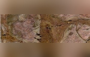 Breccia Numidia Marble