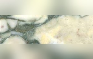 Breccia Verde Seravezza Marble