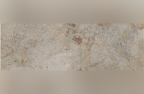 Brecha Maritima Limestone