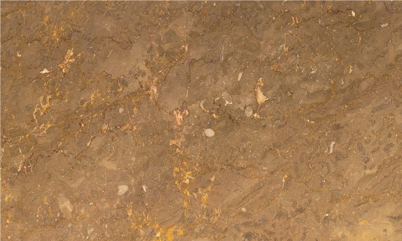 Brecha Tavira Castanha Limestone