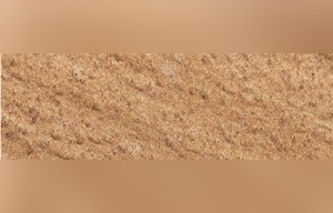 Brisbane Sandstone