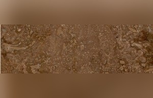 Brown Autumn Travertine