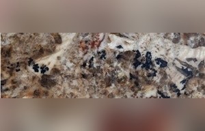 Brown Beauty Granite