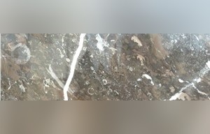 Brown Khenifra Marble