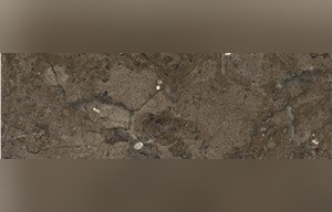 Brown Storm Marble