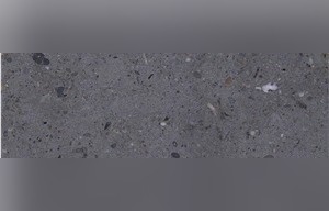 Bruck Limestone