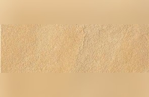 Buckskin Sandstone