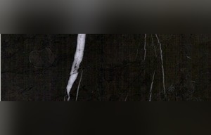 Bulgarian Grey Marble