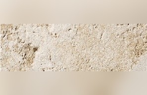 Burenbruch Limestone