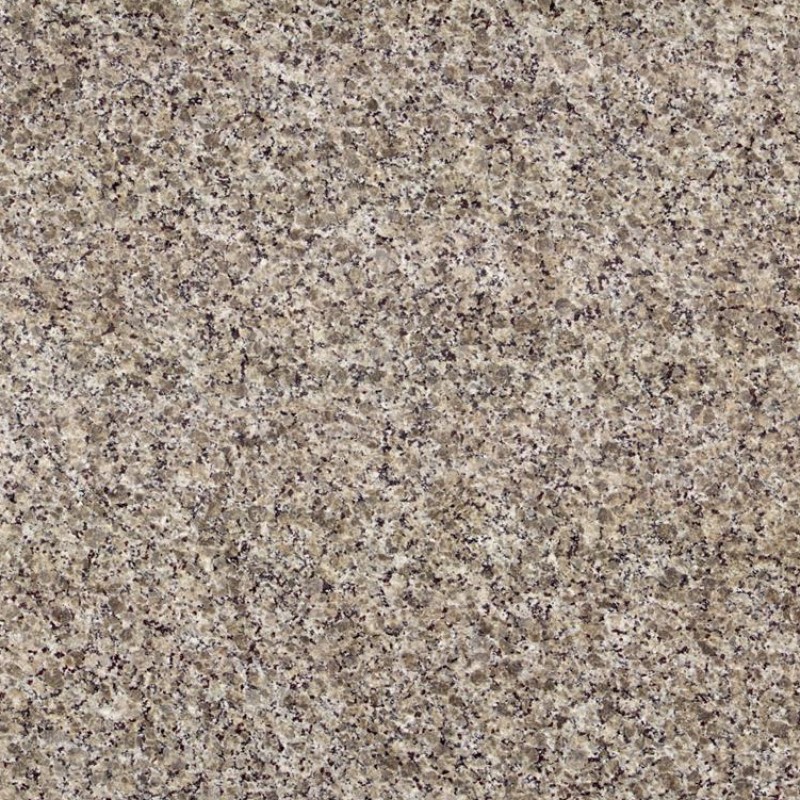 Butterfly Beige