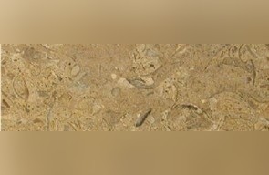 Cafe Pinta Limestone
