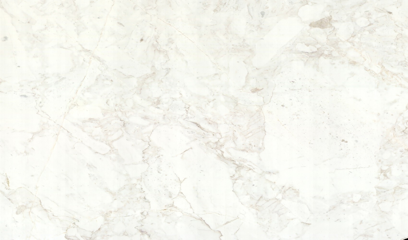 Calacatta Arabesque