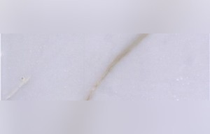 Calacatta Borghini Marble