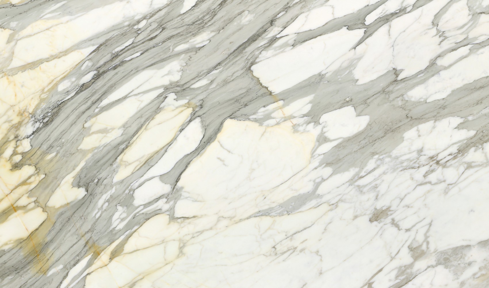 Calacatta Borghini