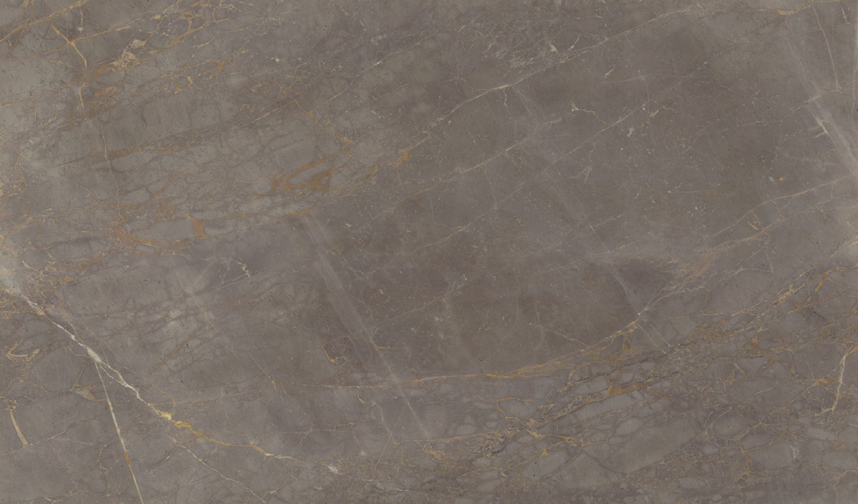 Calacatta Brown