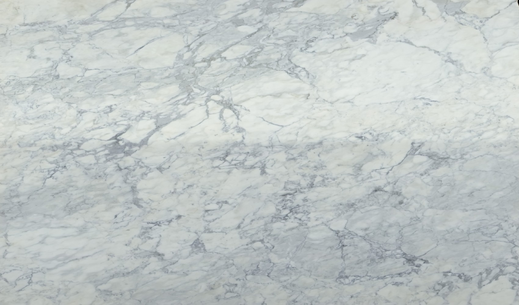Calacatta Cremo