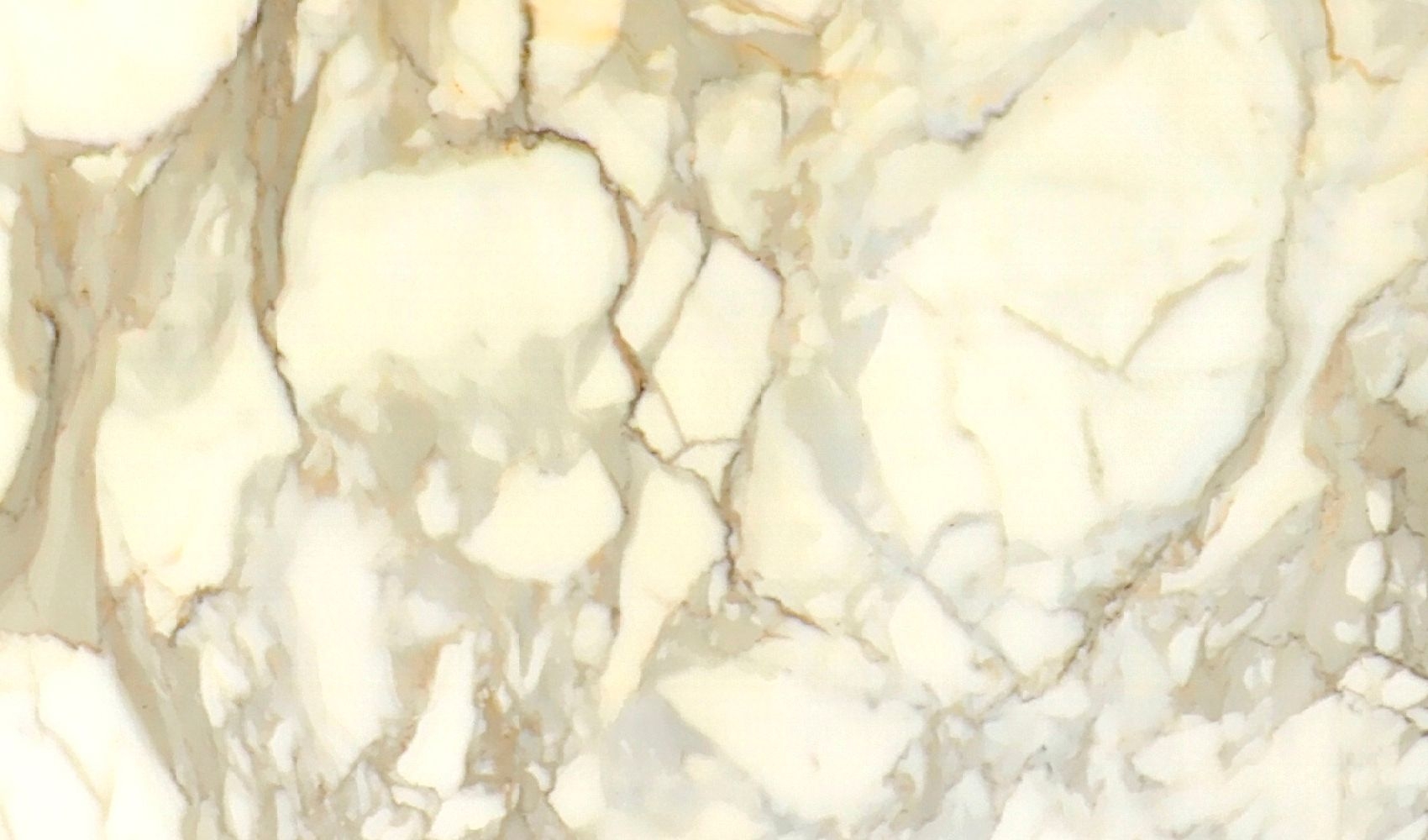 Calacatta Gold
