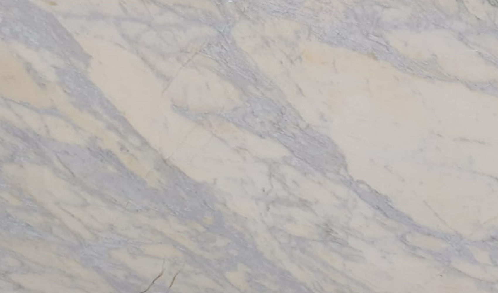 Calacatta Translucent