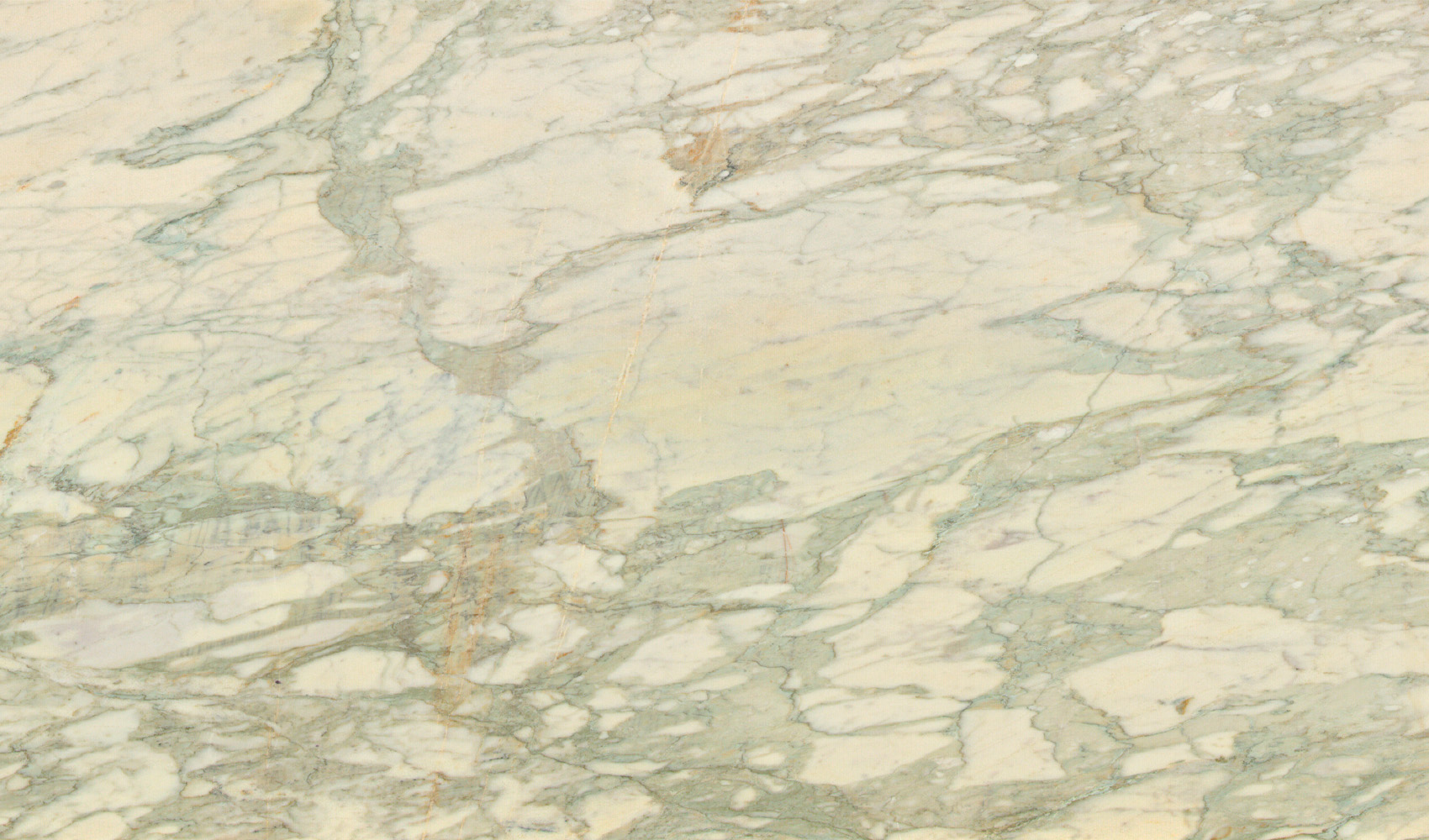 Calacatta Verde New