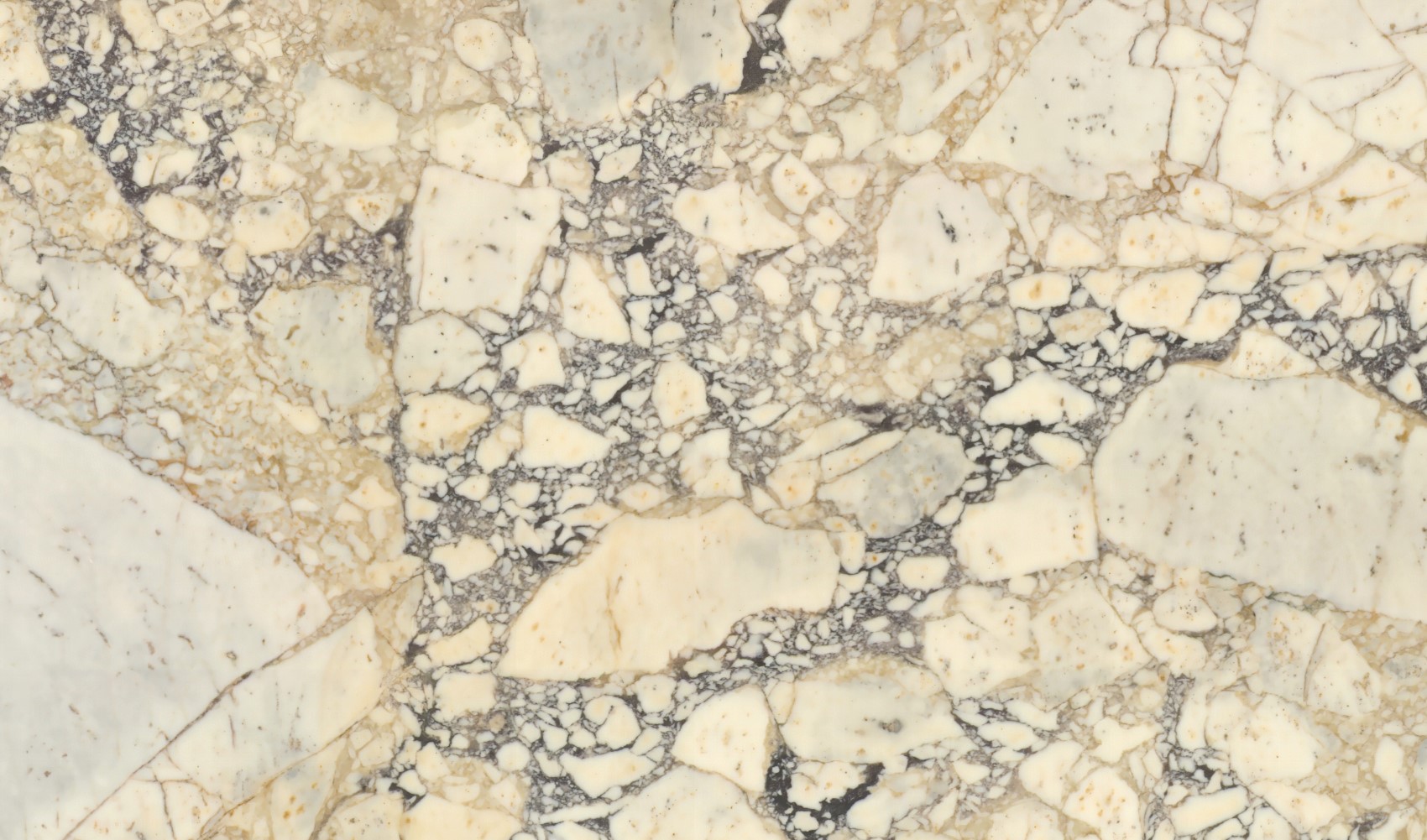 Calacatta Viola Gold