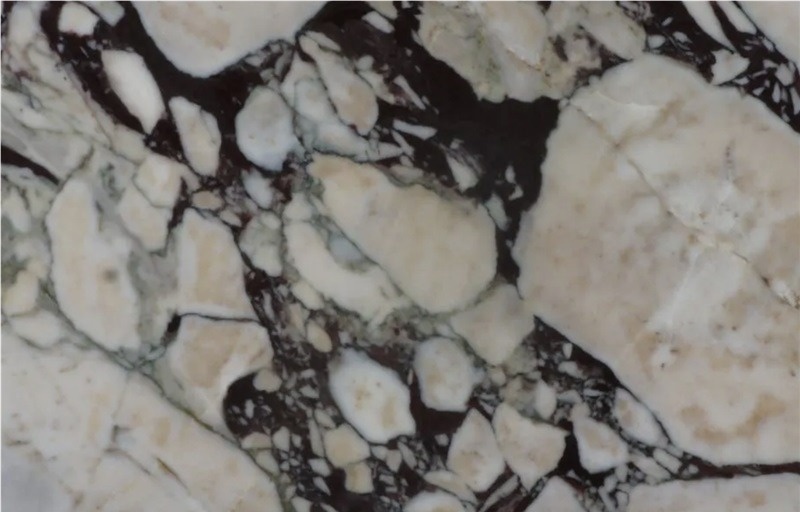 Calacatta Viola Marble
