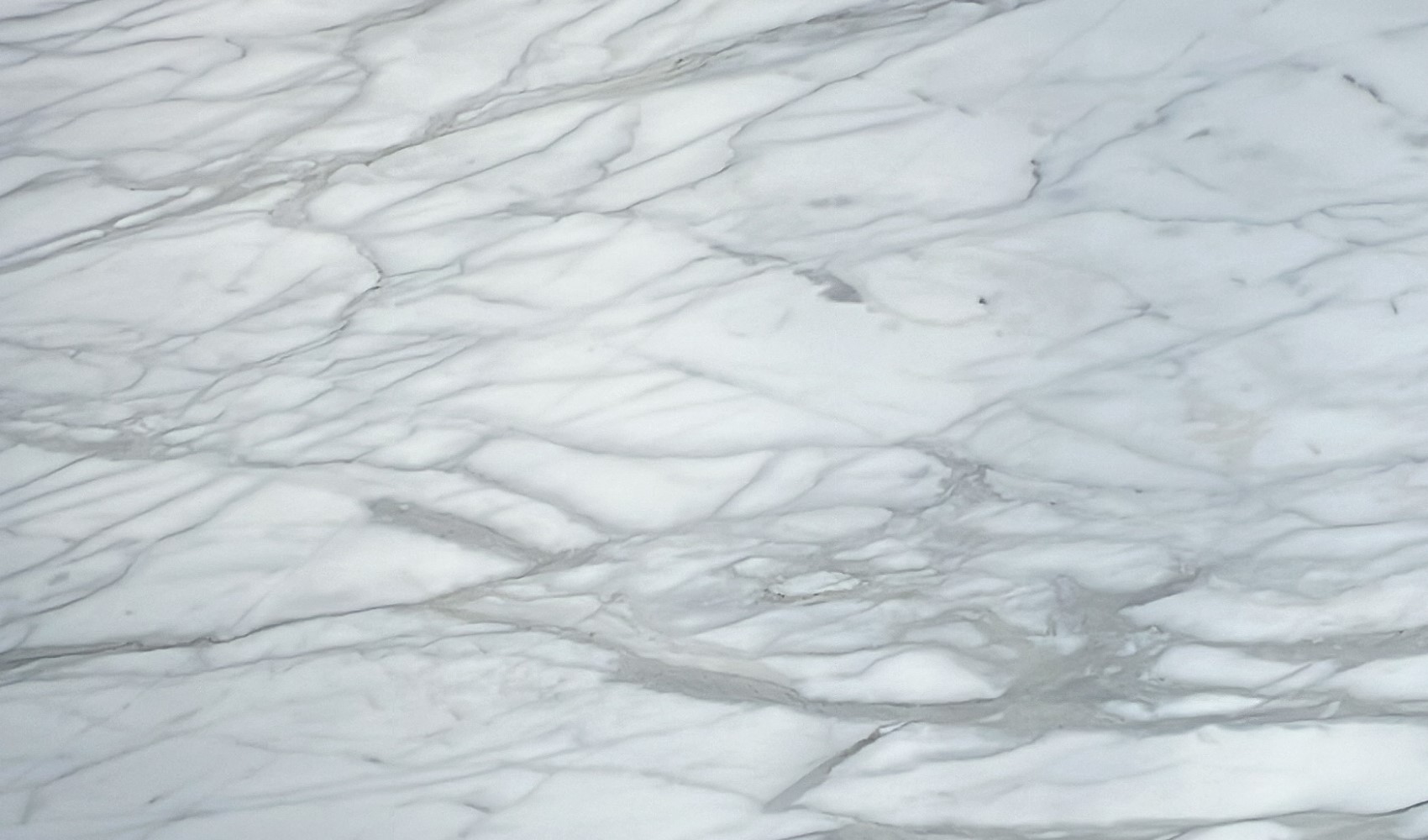 Calacatta White