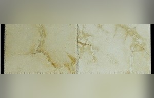 Camel White Limestone