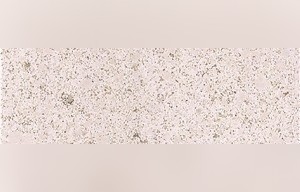 Capri Pearl Limestone
