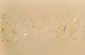 Capuchine Limestone