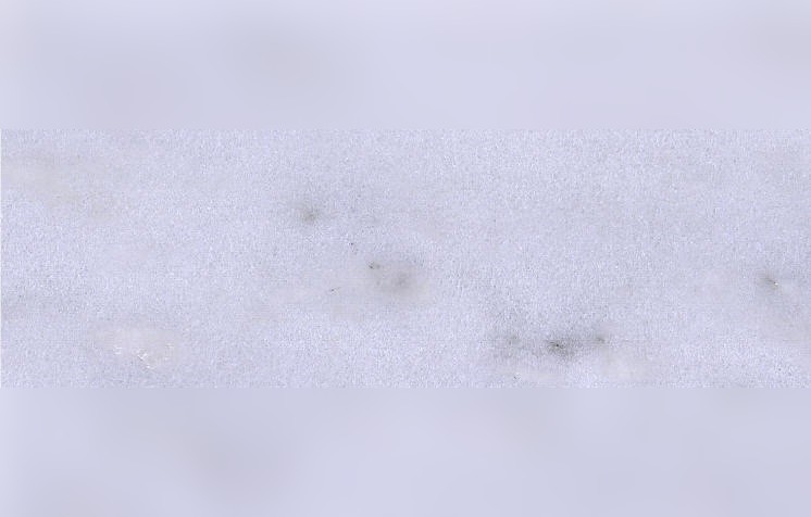 Carrara White Marble