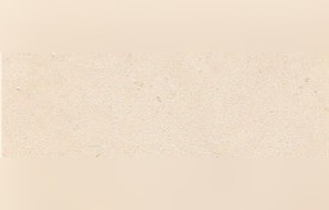 Carthage Ivory Limestone
