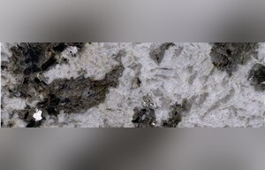 Cartus White Granite