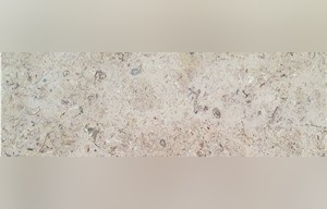 Chambolle Limestone