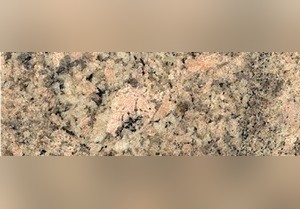 Champagne Granite
