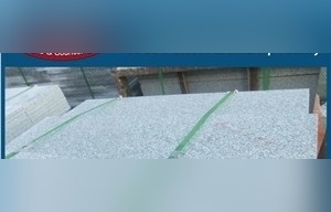 Champagne White Granite