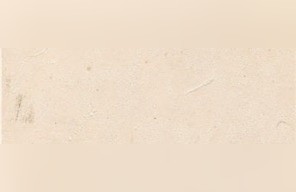 Chauvigny Limestone