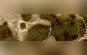 Cheetah Brown Marble