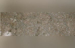 Chestnut Brown Marble