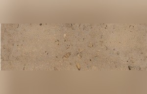 Chestnut Limestone