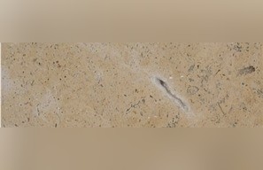 China Beige Limestone