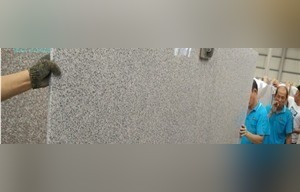 China Bianco Sardo Granite